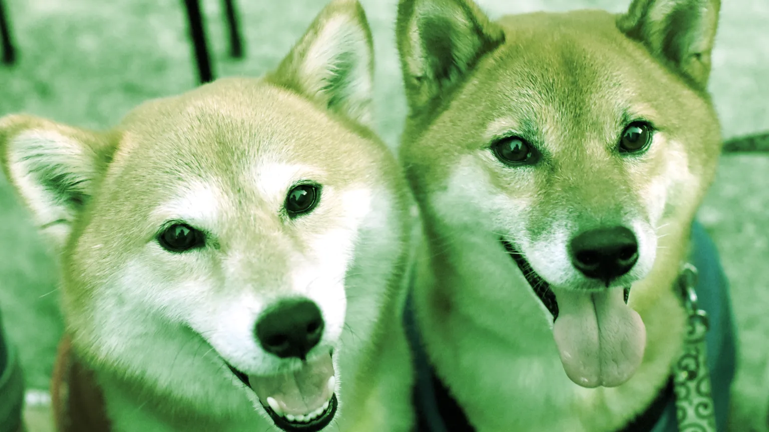 Shiba Inu y Dogecoin Suben Con Ganancias de Dos Dígitos Esta Semana