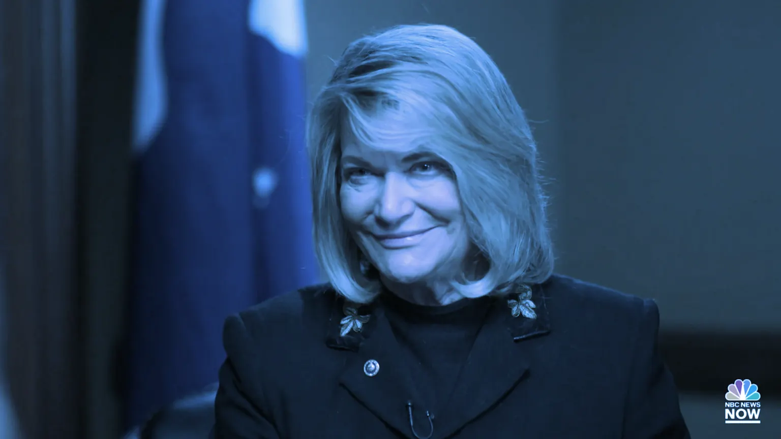 Cynthia Lummis. Image: Meet the Press Reports