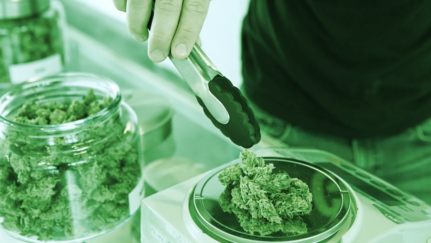 Los dispensarios de cannabis también están en el metaverso. Imagen: Shutterstock