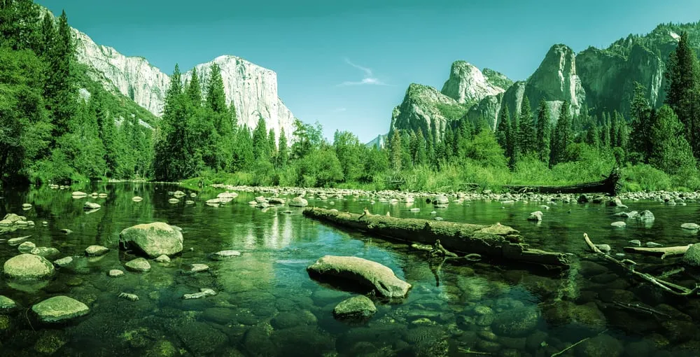 Yosemite National Park. Image: Shutterstock