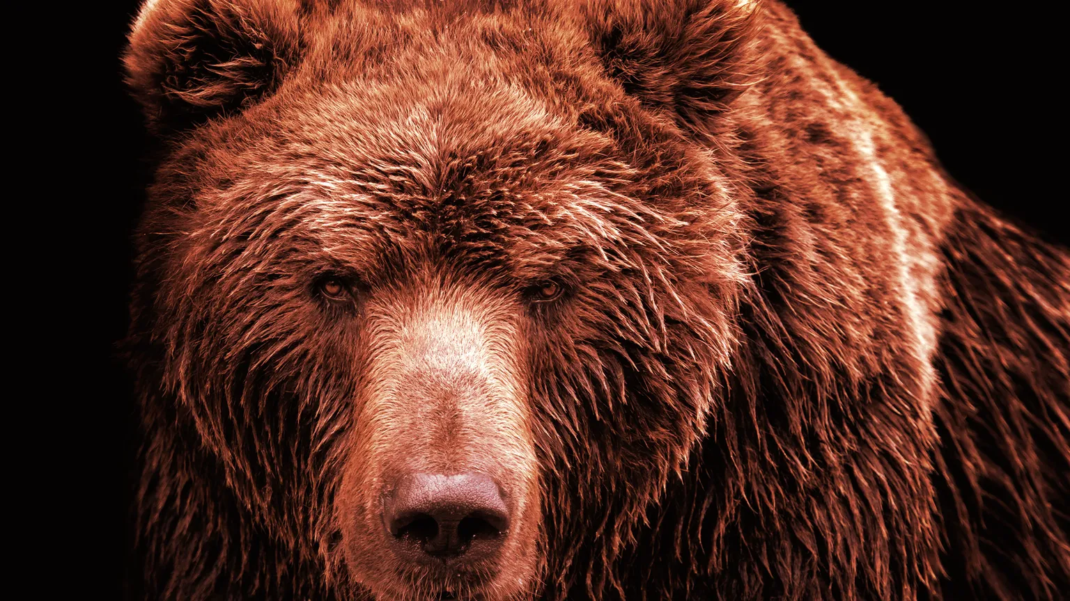 加密货币的熊市周期很常见，对许多投资者来说很难驾驭。图片：快门。
