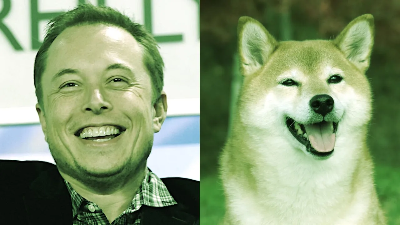 Elon Musk is a big fan of Dogecoin. Images: Shutterstock