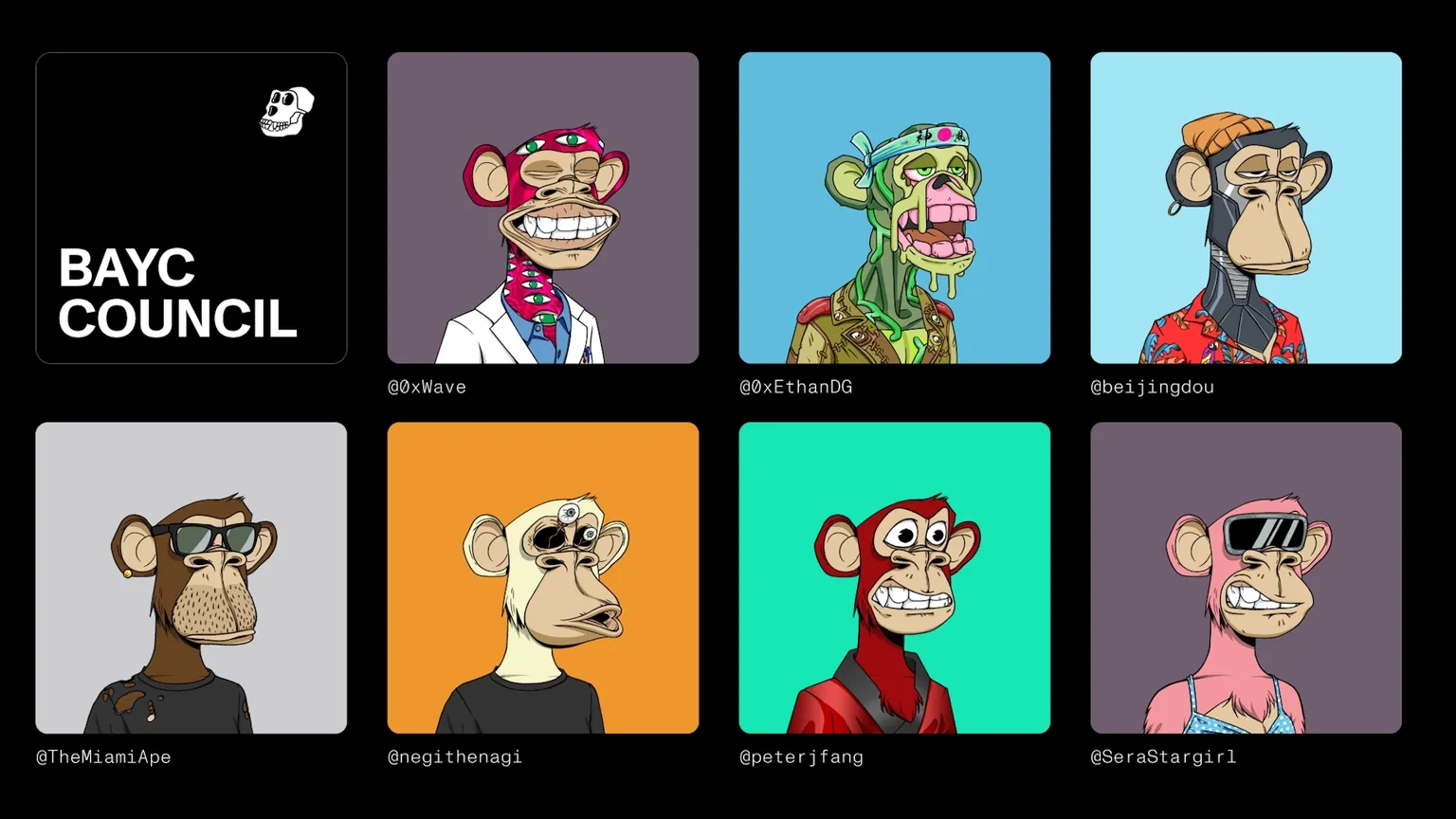 Image of BAYC council showing seven photos of 2D cartoon Apes with different-colored fur. Some wear glasses, hats, labcoats, etc.