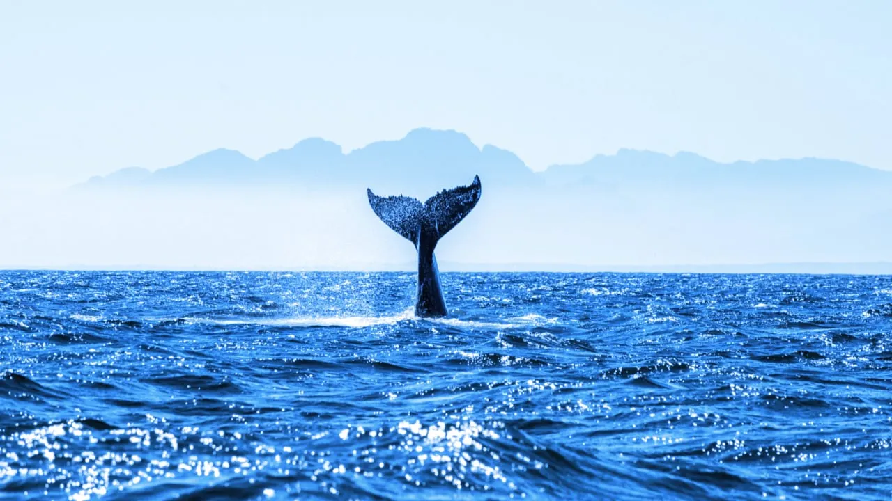 Large token holders are called whales in crypto. Image: Shutterstock.