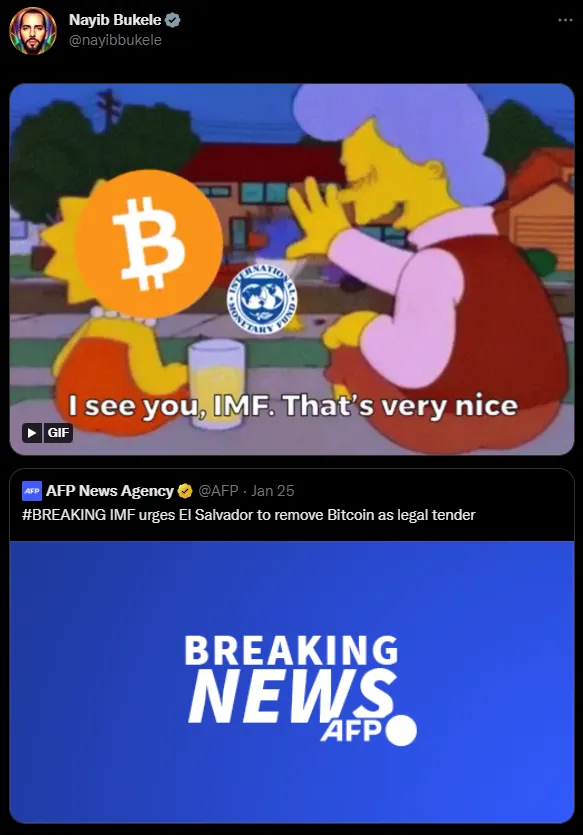 Cuoi ra nuoc mat voi crypto meme 2022