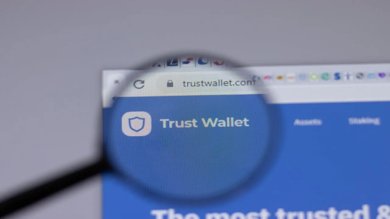 The Trust Wallet logo with a magnifying glass over it.