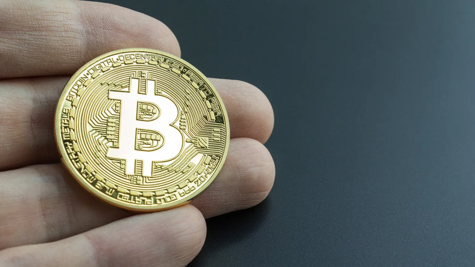 Bitcoin HODLers hit new highs. Image: Shutterstock