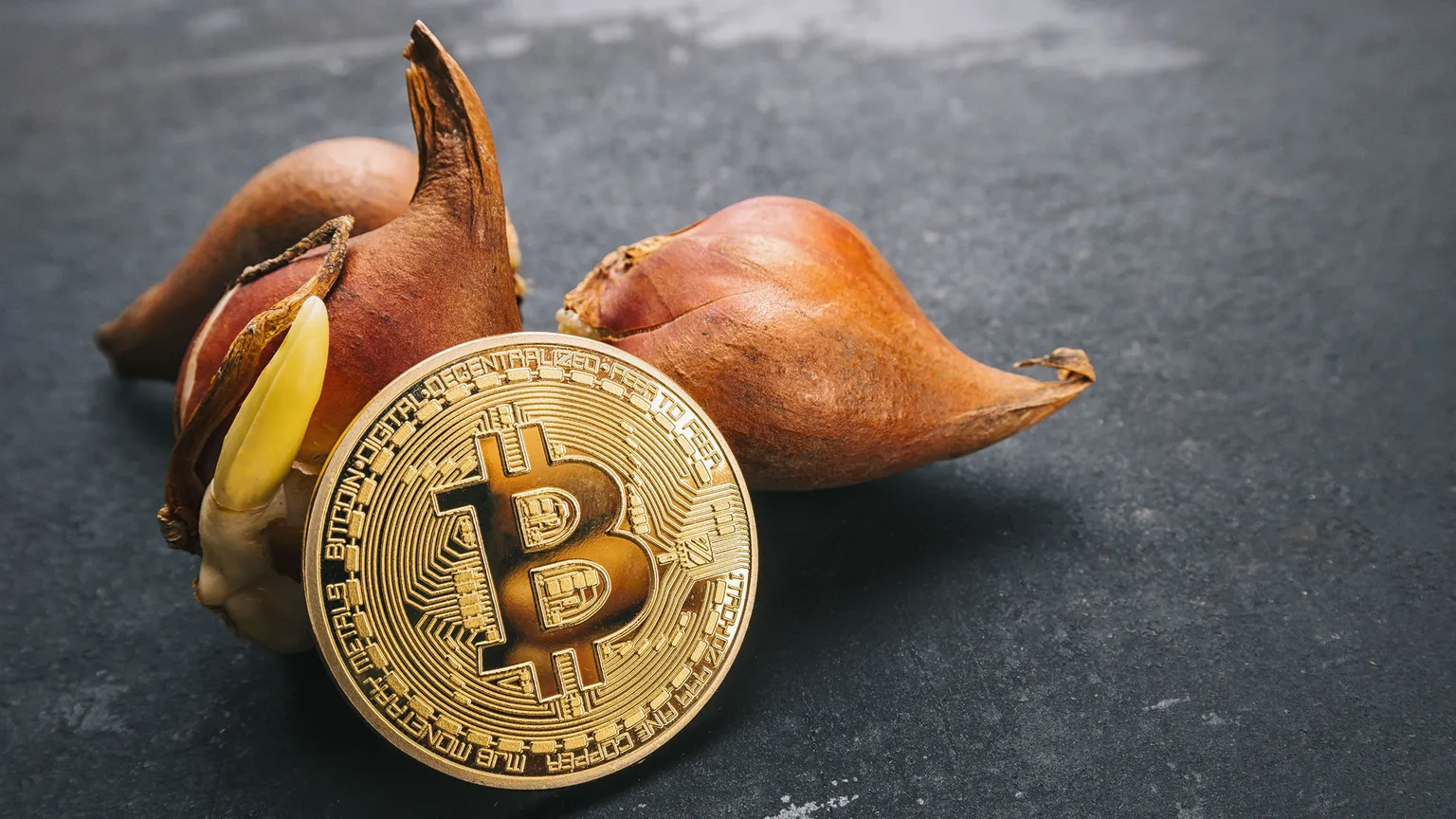 Bitcoin with tulip bulbs. Image: Shutterstock