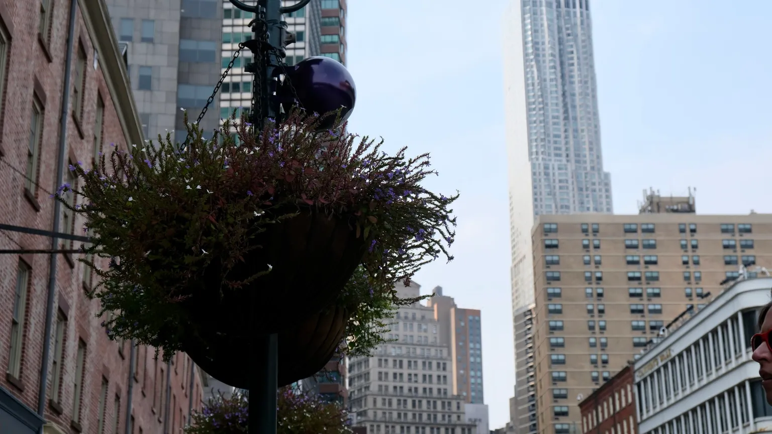 A "pearl" perched on a Seaport streetlamp. Image: André Beganski/Decrypt.