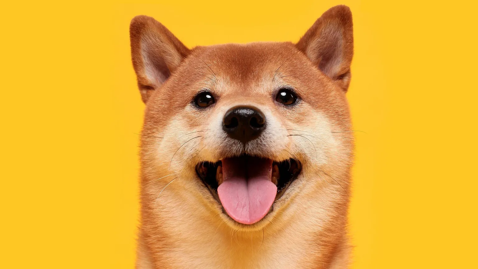 Only one of the top thirty cryptocurrencies by market cap posted notable gains: Dogecoin rival Shiba Inu (SHIB), up 14.7% for the week. Image: Shutterstock