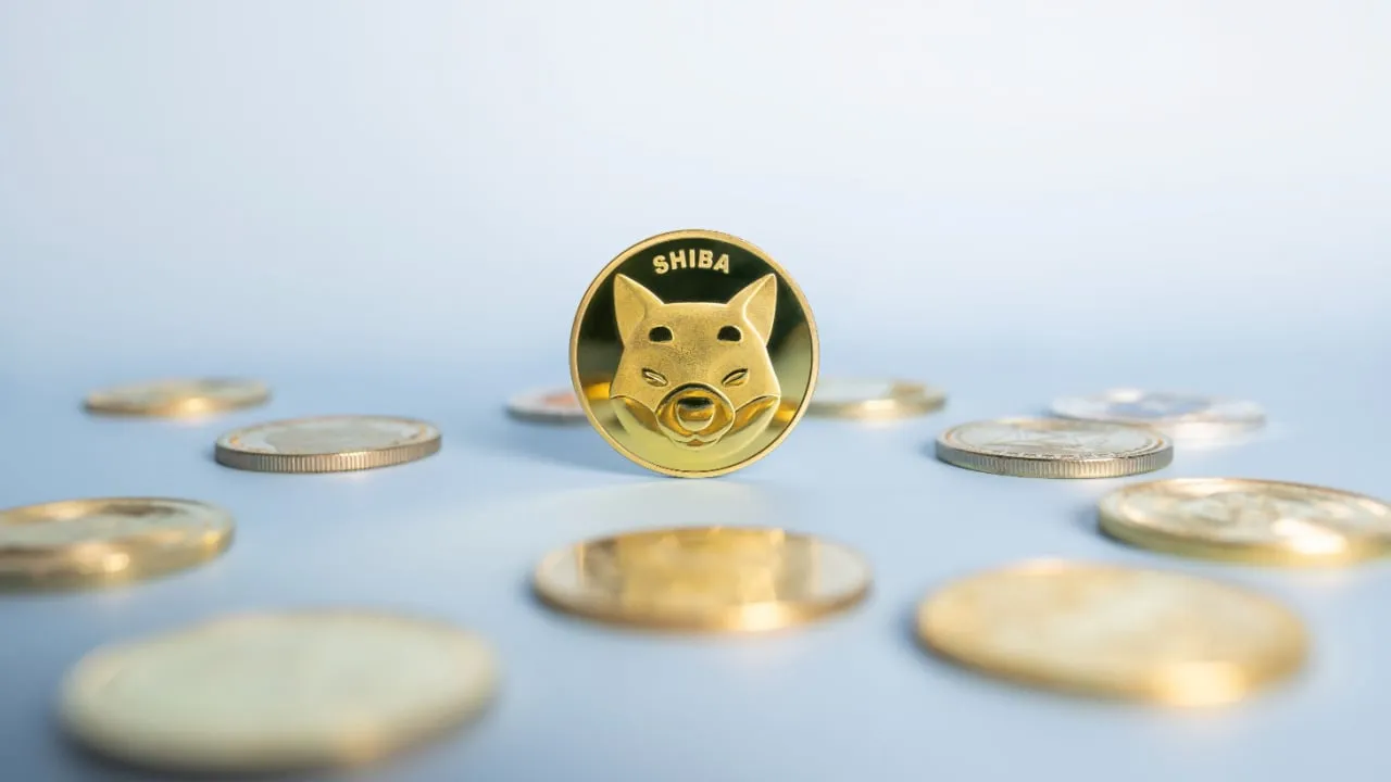 SHIB Is a popular meme coin. Image: Shutterstock.