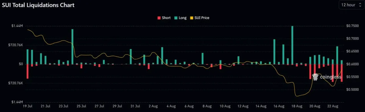 SUI Liquidations on Binance.