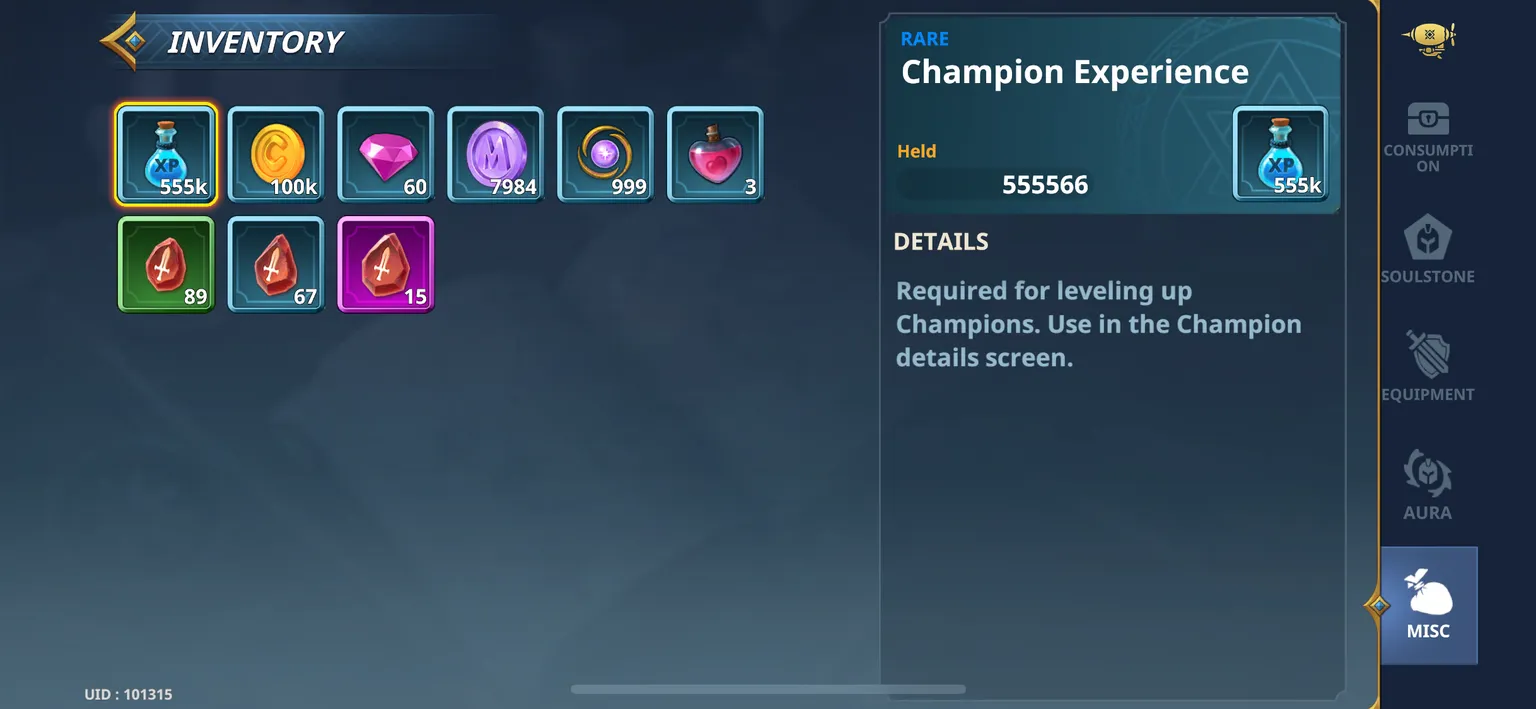 Screenshot of Champions Arena currencies inventory, showing gems, lapis, essence, and other in-game currencies and potions.