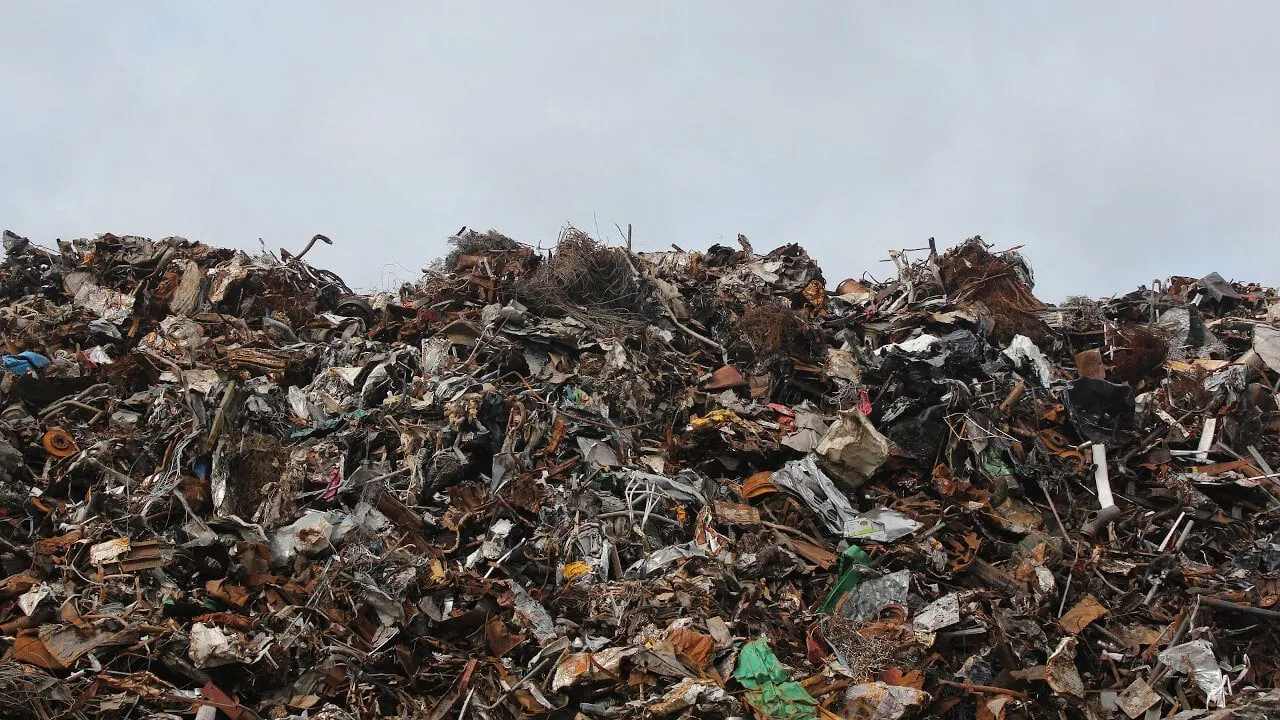 Man ‘Extremely Serious’ About Buying Landfill Where His $774 Million Bitcoin Is Lost