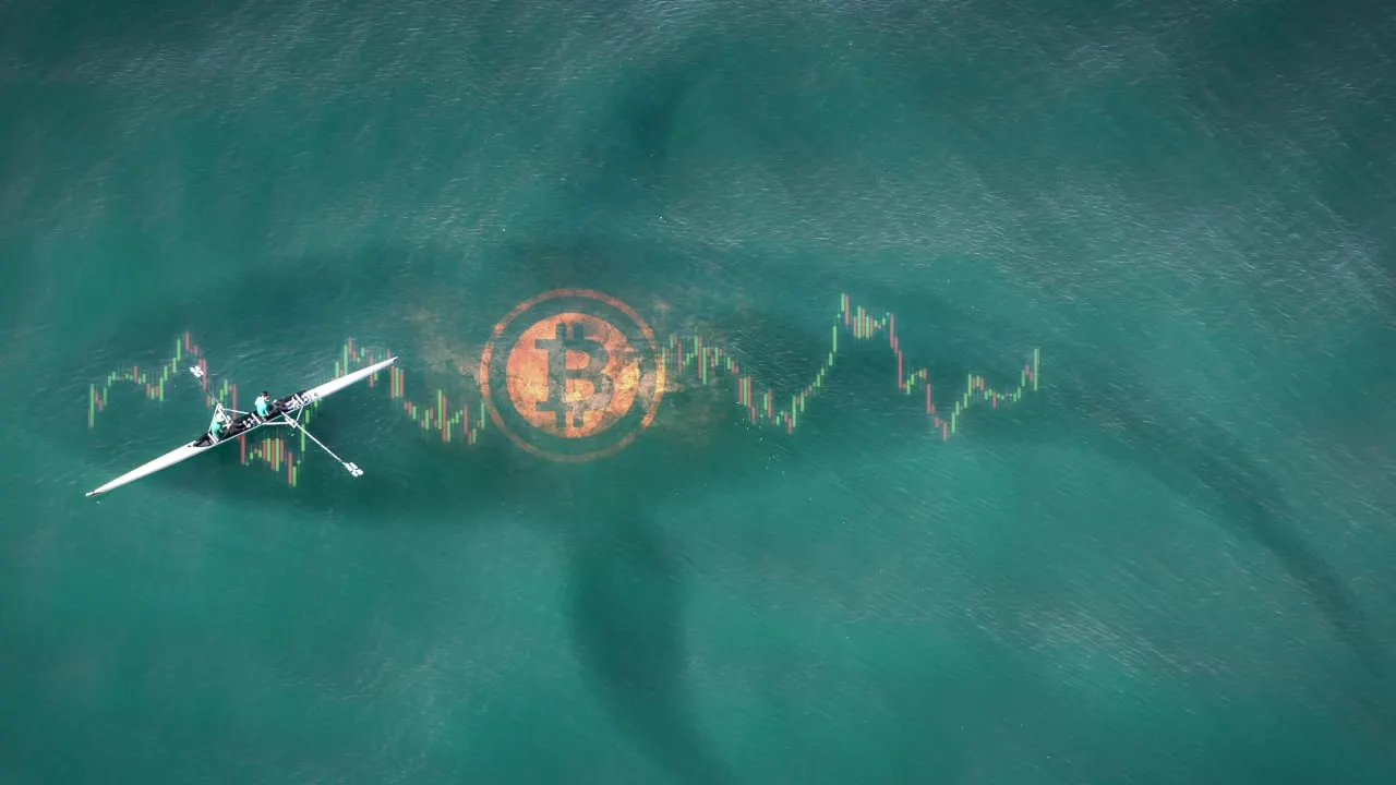 Bitcoin Whales Reawaken After More Than a Decade—With Millions in Profit