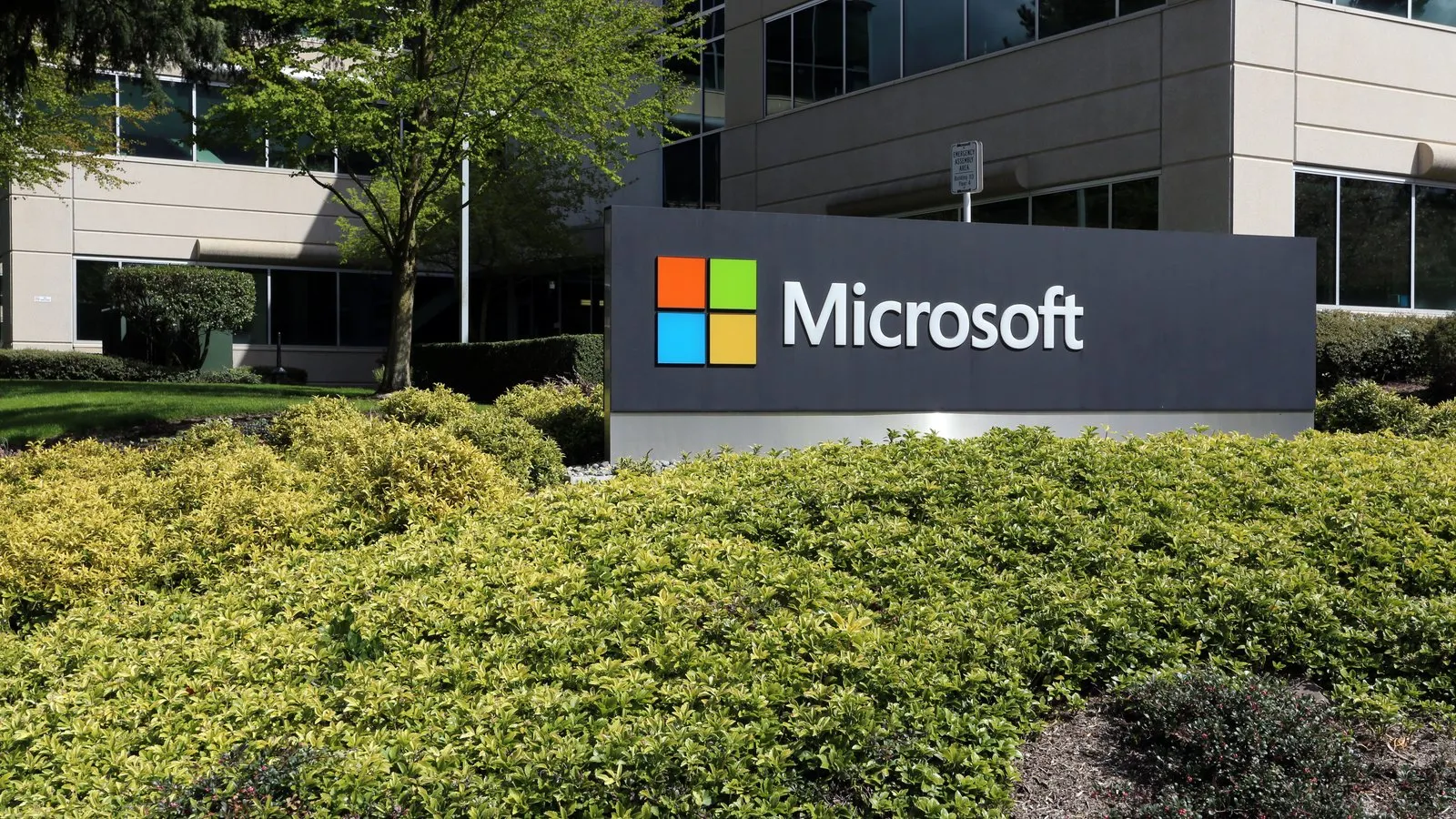 Less than 1% of Microsoft Shareholders Voted in Favor of Investing in Bitcoin