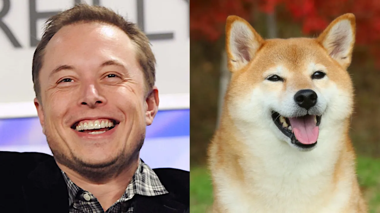 Dogecoin Pumps Following Elon Musk 'D.O.G.E.' Tweet