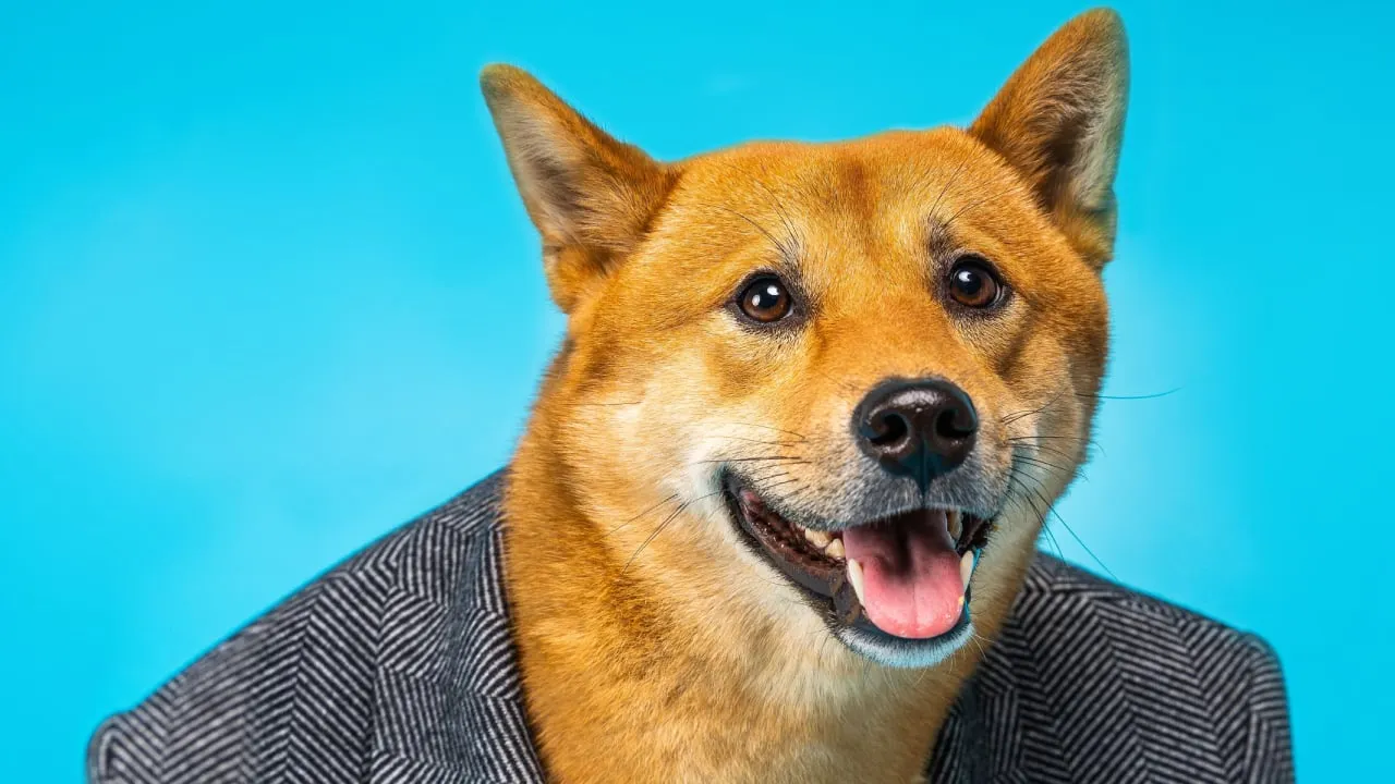 Publicly Traded Firm Buys 1 Million Dogecoin to Augment Bitcoin Reserve