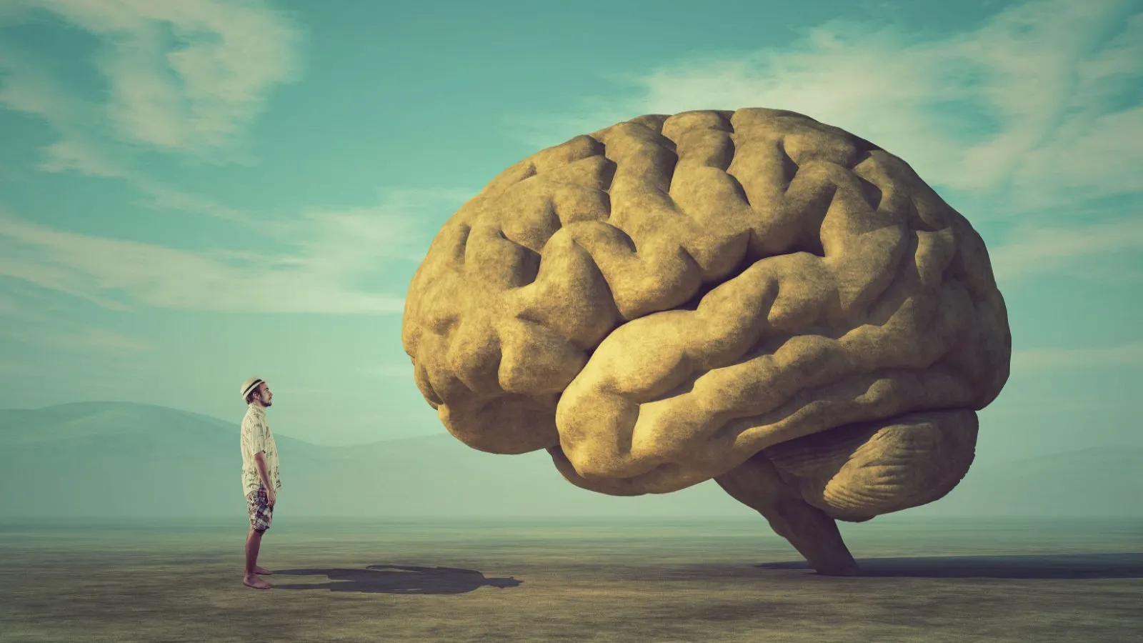 Bigger Brains Lead to Longer Lifespans, Says New Study