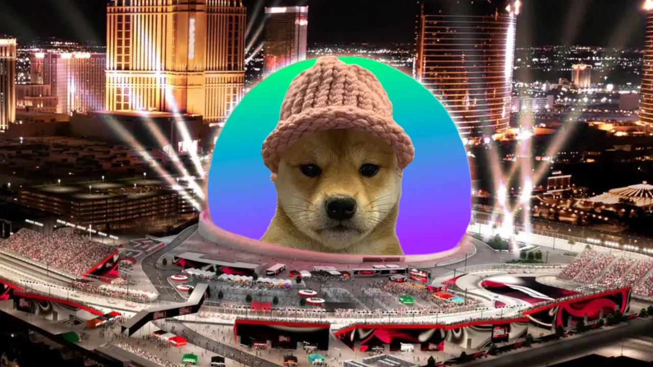 Solana Meme Coin Dogwifhat Has No Deal With Las Vegas Sphere, Venue Says