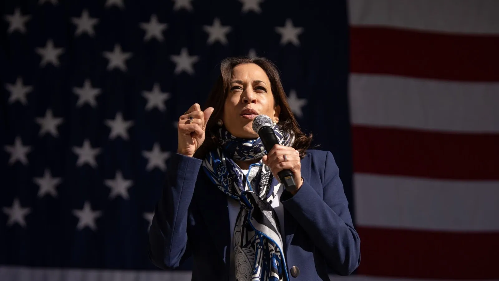 Kamala Harris Courts AI, Crypto Industries During Fundraising Event in New York