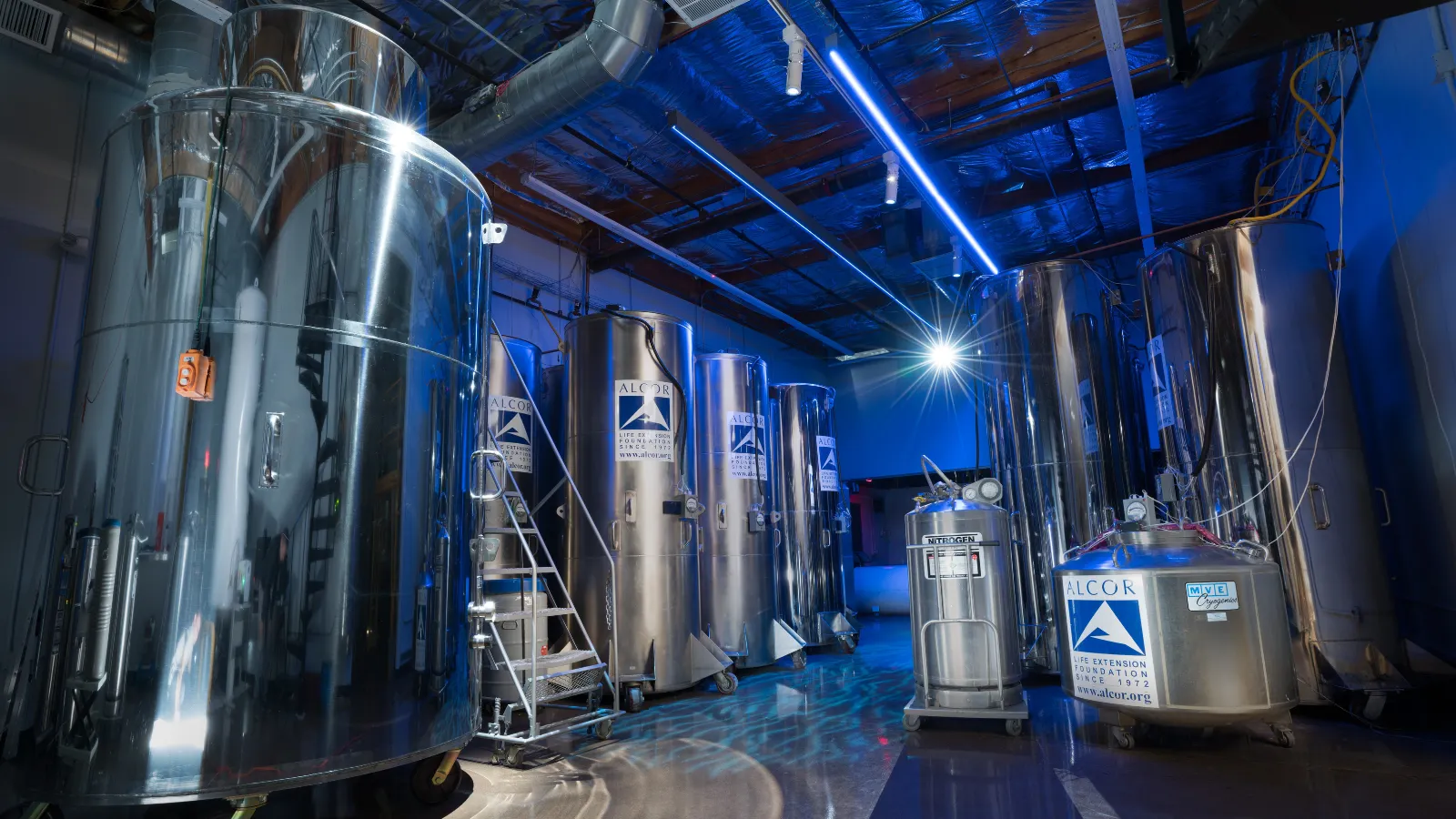 Meet the Cryonics Company Preserving Bitcoin Legend Hal Finney’s Body