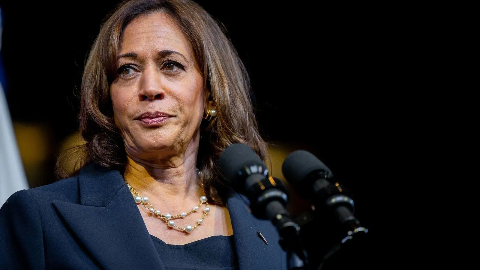 Kamala Harris Releases Policy Positions, But Bitcoin and Crypto Are MIA