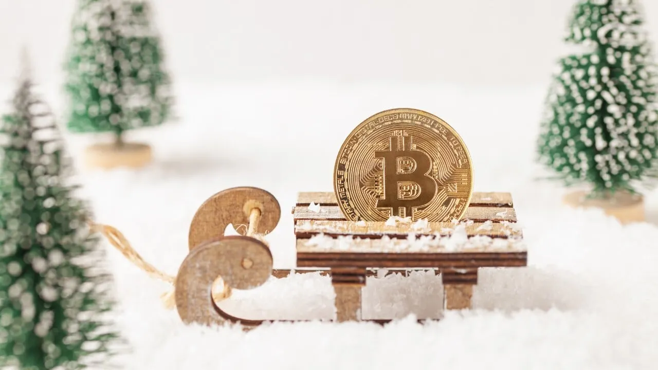 Crypto Holiday Gift Guide 2024