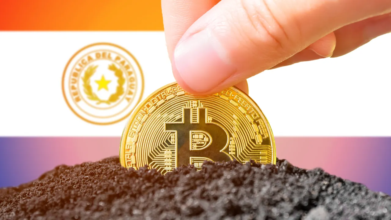 Bitcoin Miner Hive Digital Reveals $60 Million Paraguay Expansion Push