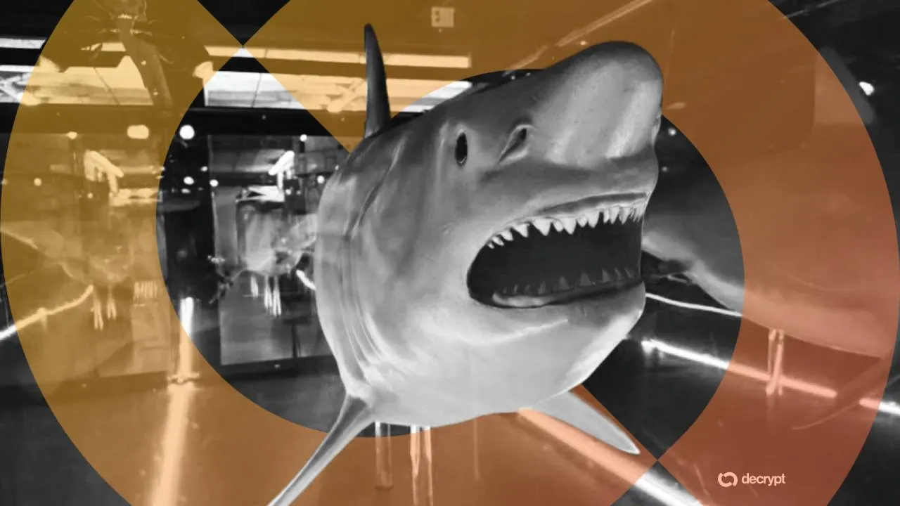 No Bull? Bitcoiners Pay Tribute to ‘Apex Predator of Money’ With Shark Satutue
