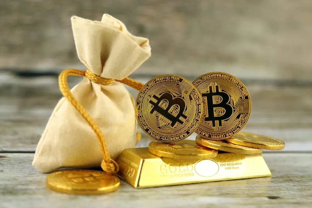 Institutional investors have been purchasing millions worth of Bitcoin. Image: Shutterstock