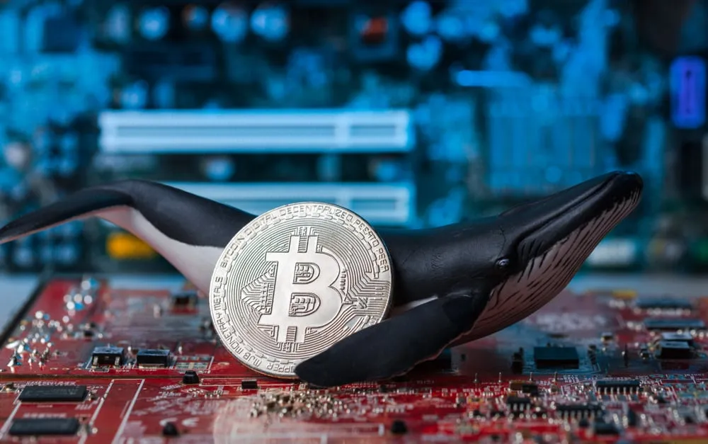 Bitcoin whale. Credit: Shutterstock