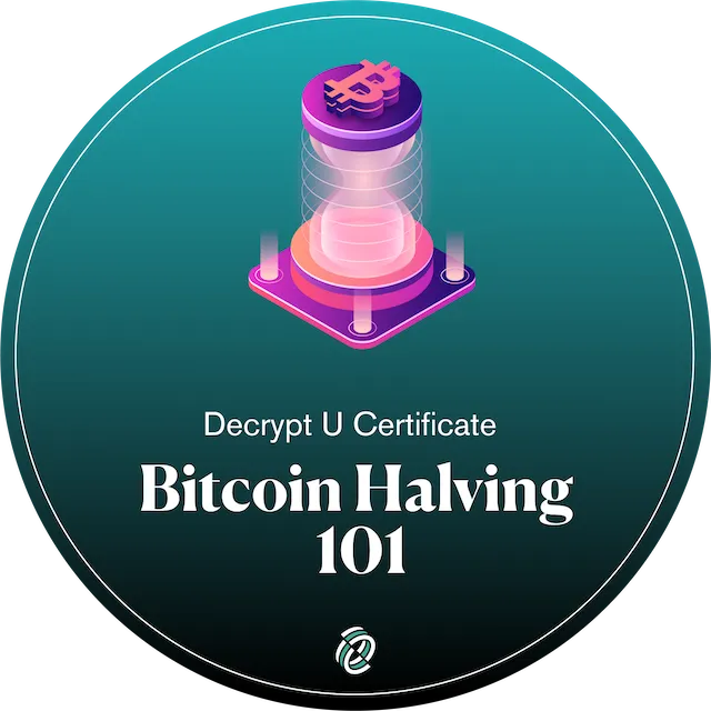 Bitcoin Halving 101: What it Means for Miners and Investors