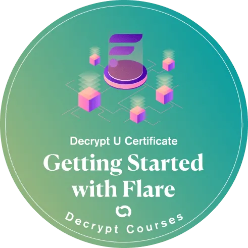 Getting Started with Flare