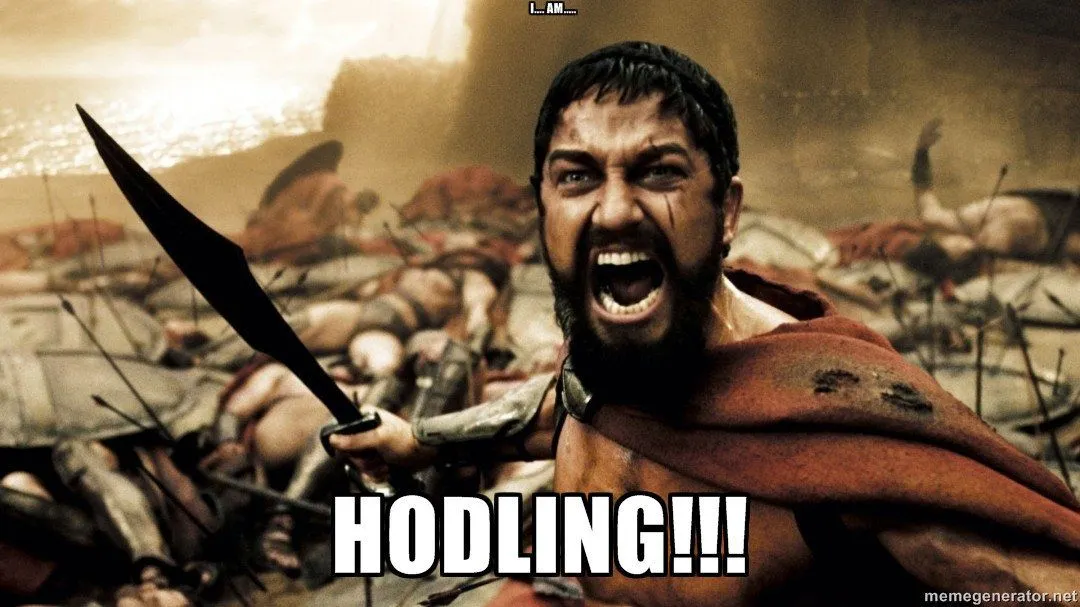 drunk typo creates HODL meme