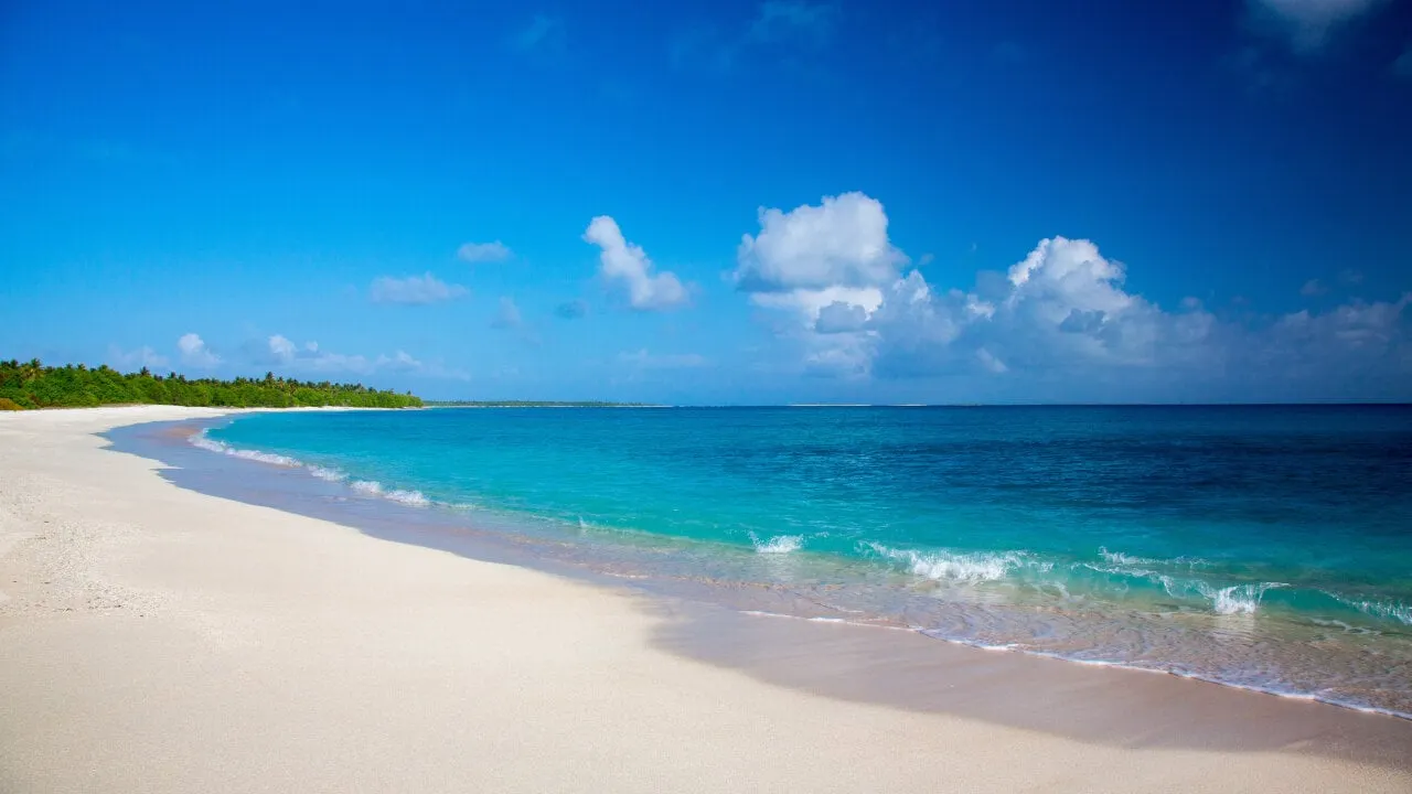 Sandy Beach. Image: Unsplash.