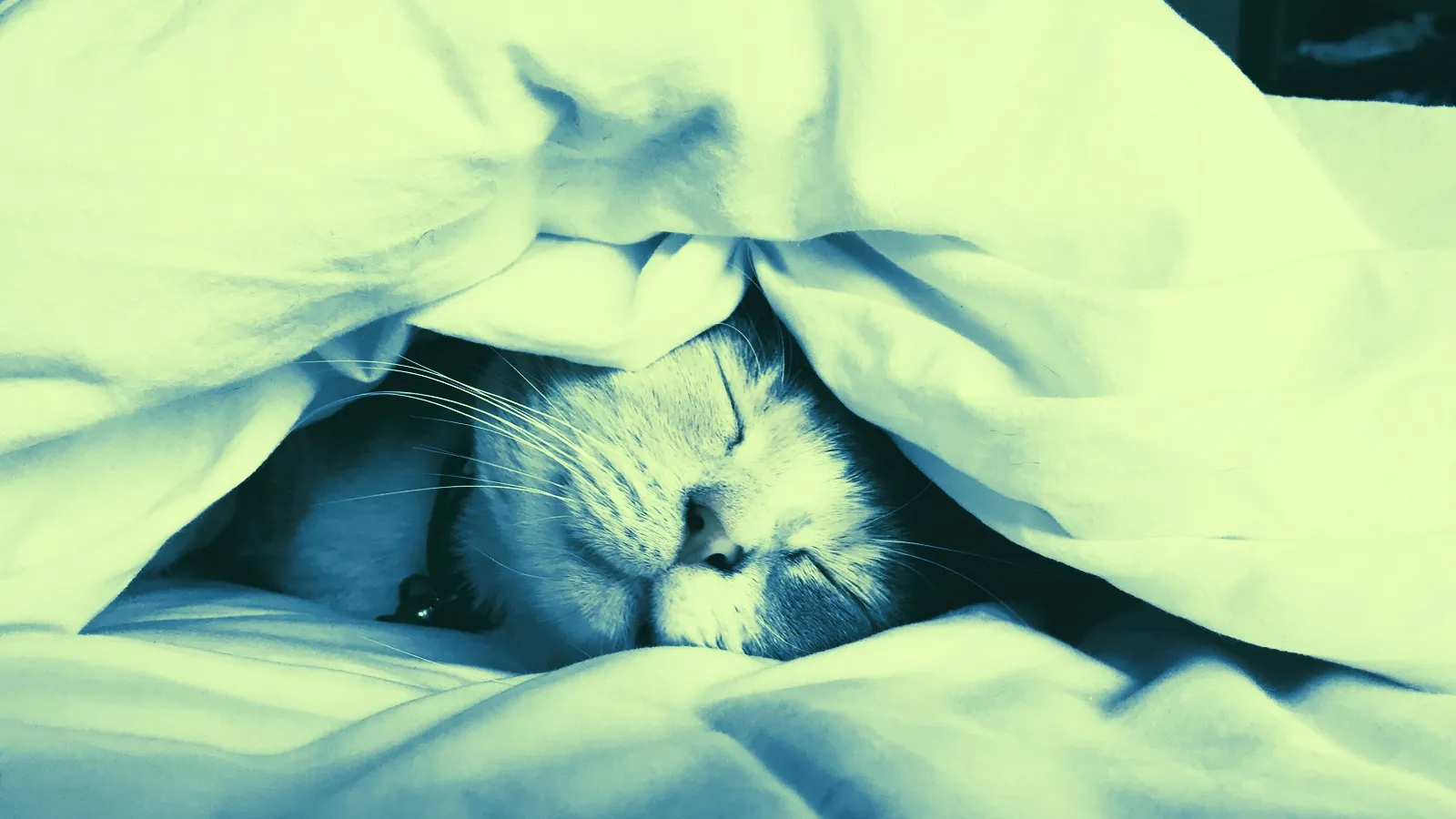 image: unsplash