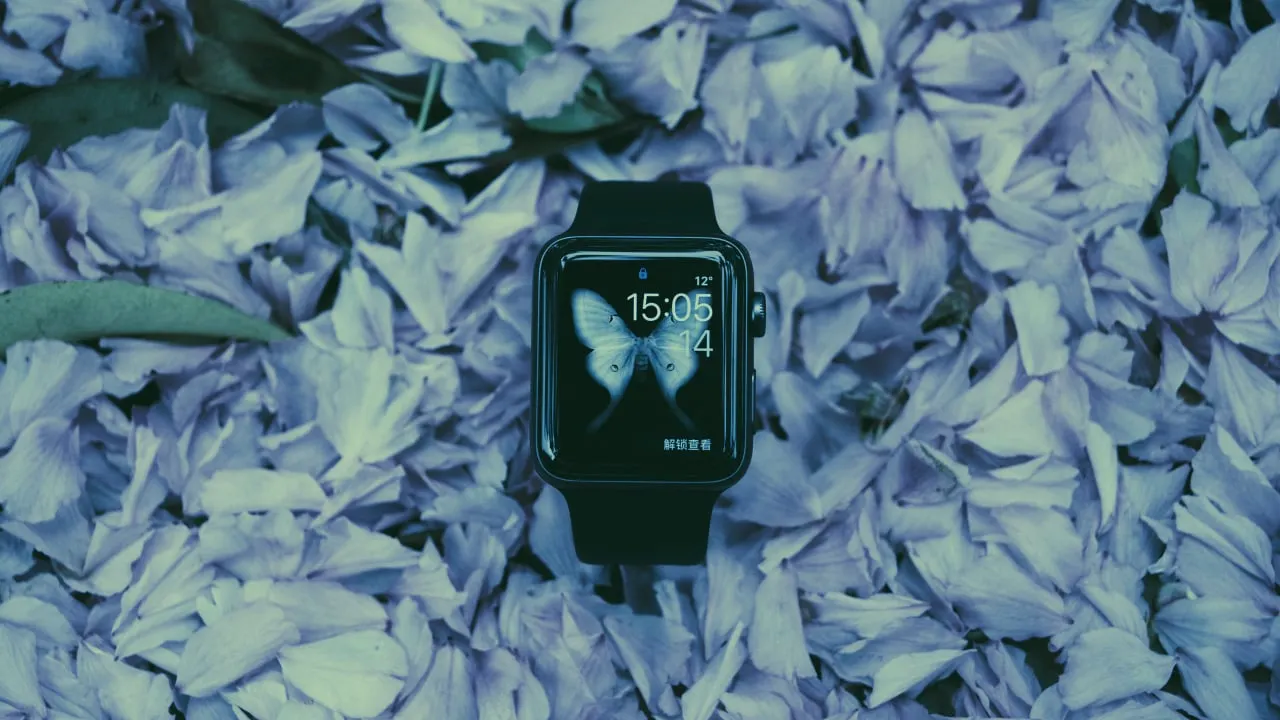 Image: Unsplash
