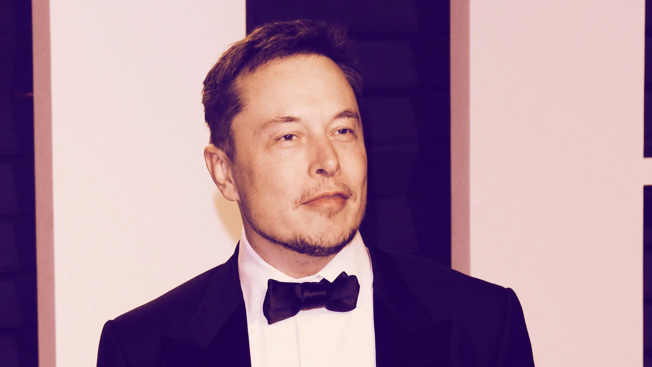 Tesla CEO Elon Musk. Image: Shutterstock.