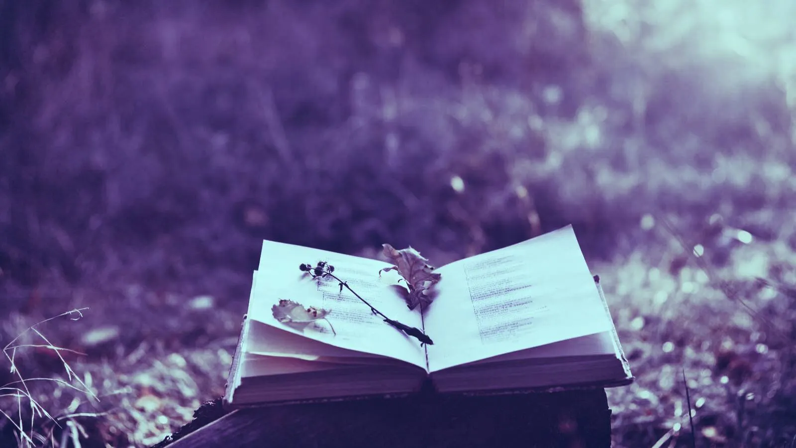 Jack Dorsey calls Bitcoin whitepaper "poetry". Image: Shutterstock