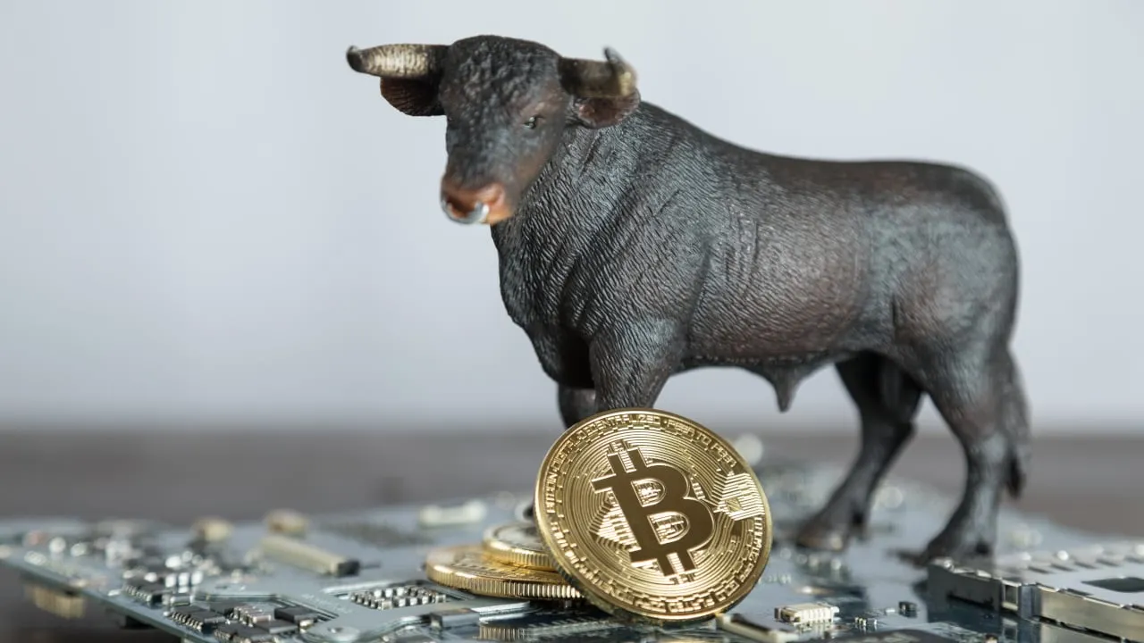 Bitcoin has been on a historic bull run. Image: Shutterstock