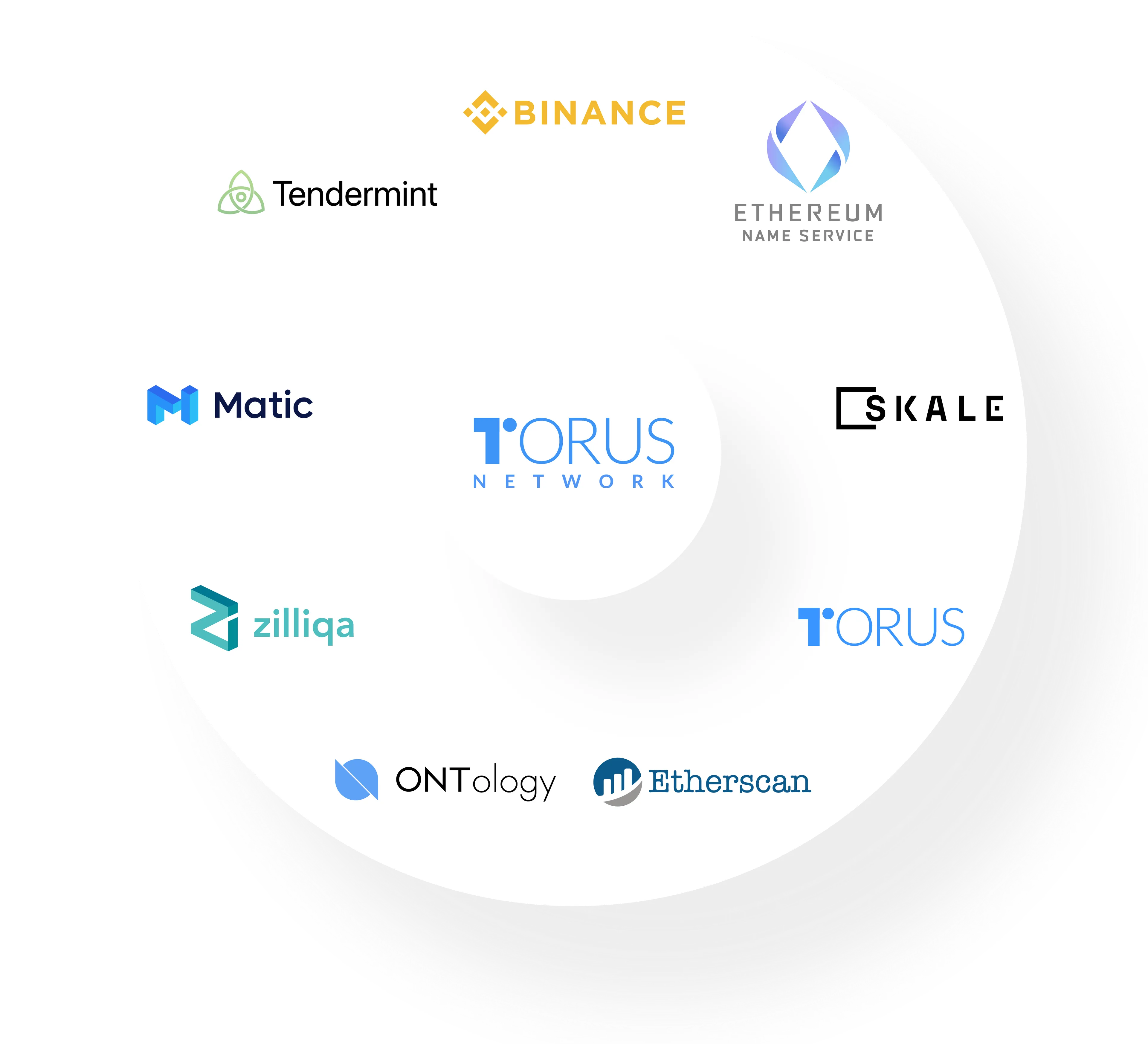 Torus-Network