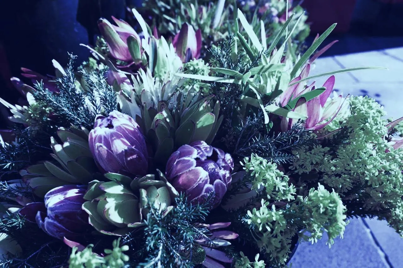 Binancé, una floristería australiana, está luchando con Binance por el derecho a usar un dominio local (Imagen: Shutterstock)