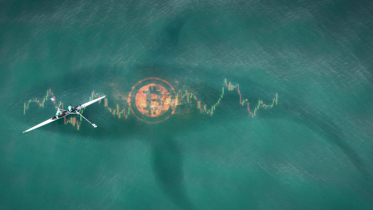 Who is the mystery Bitcoin whale? Image: Shutterstock