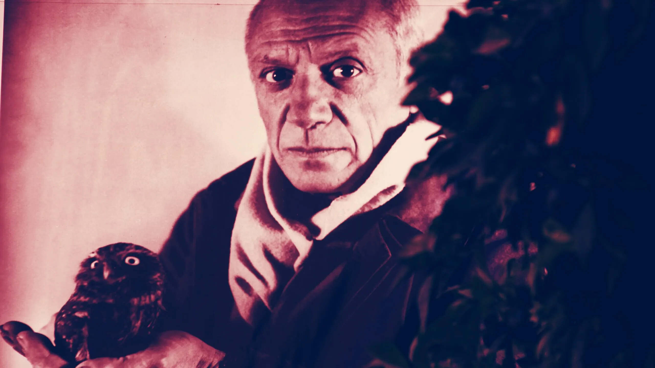 Pablo Picasso. Image: Shutterstock.