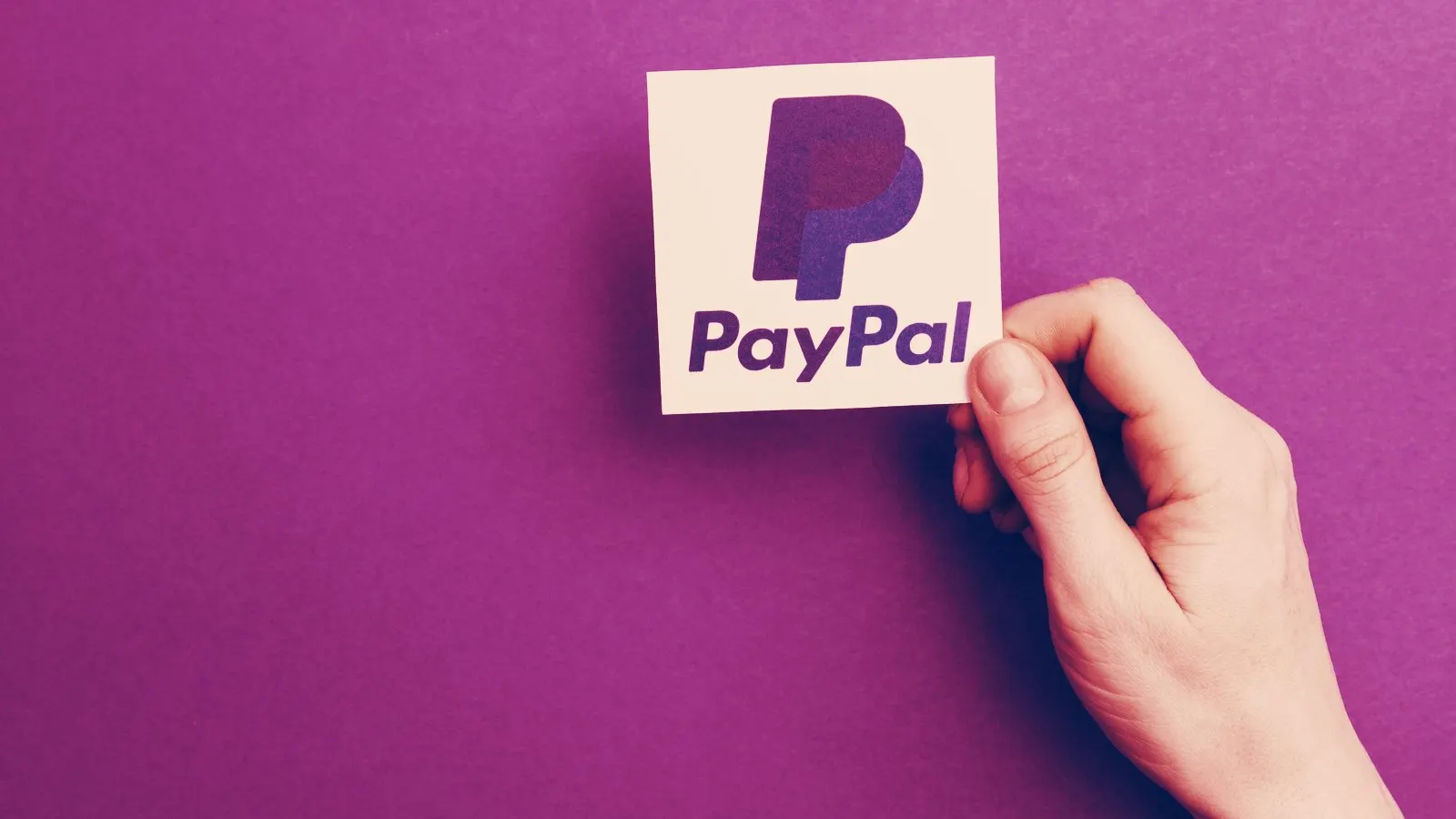 PayPal. Image: Shutterstock
