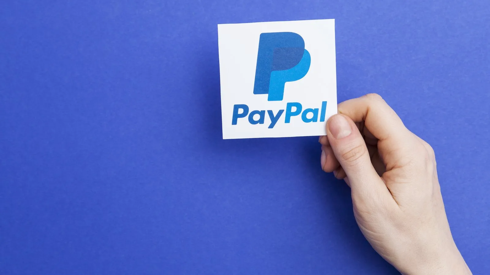 PayPal's logo. Image: Shutterstock