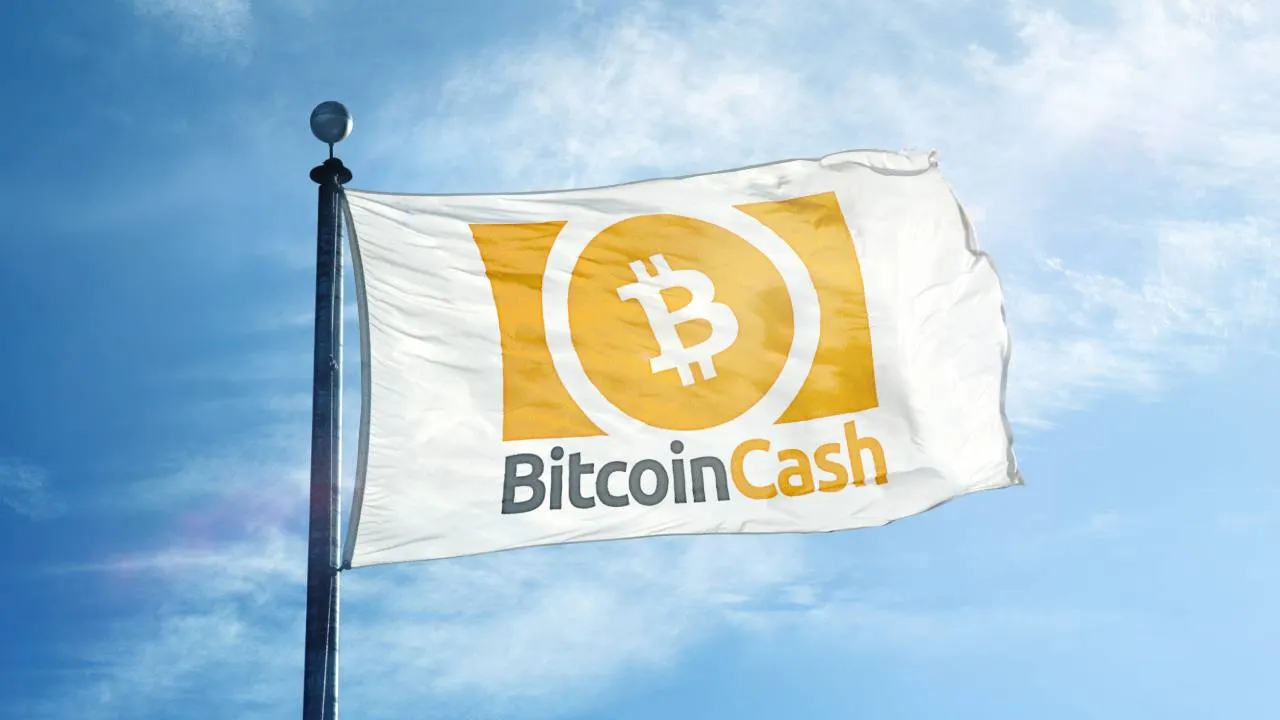 Flag displaying Bitcoin Cash logo