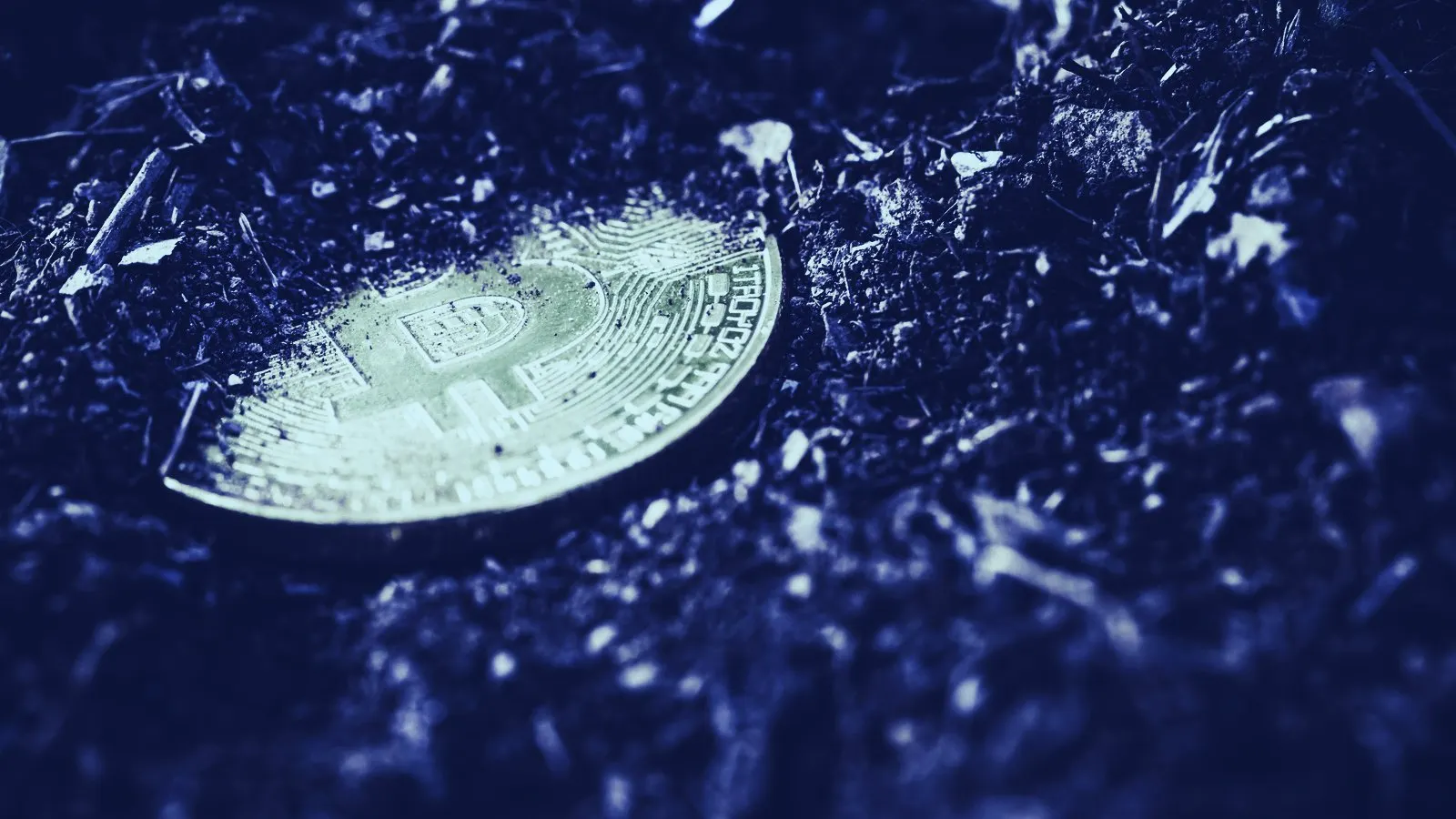 Back in 2010, it was much easier to lose your Bitcoin forever. Image: Shutterstock