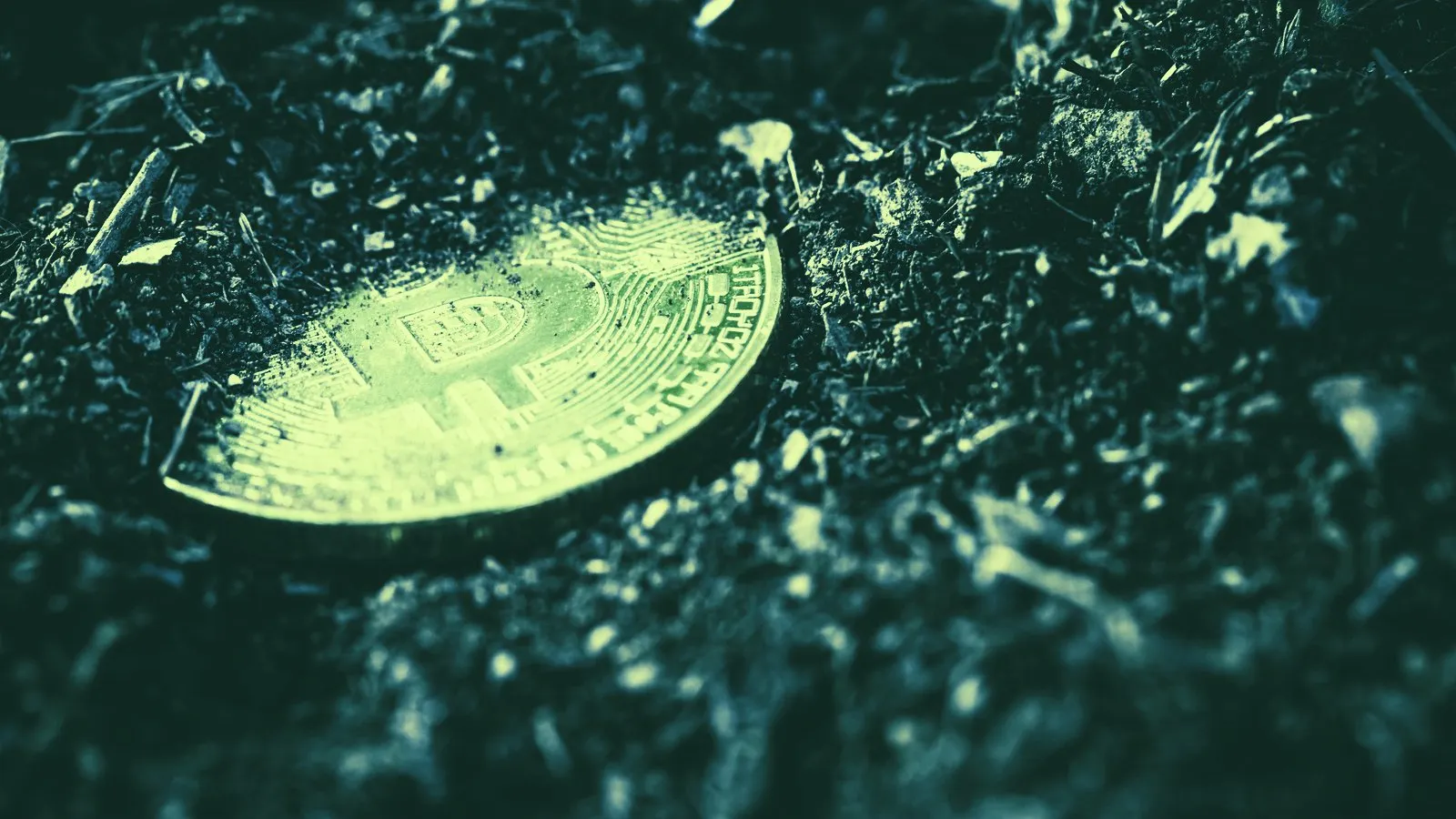 Back in 2010, it was much easier to lose your Bitcoin forever. Image: Shutterstock